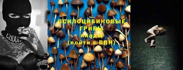PSILOCYBIN Михайловск